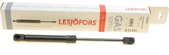 Lesjofors 8008420