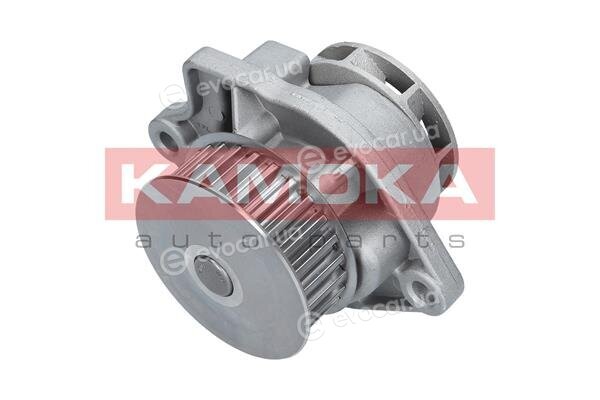 Kamoka T0248