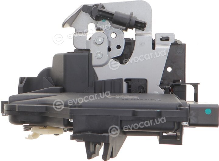 Meat & Doria 31173