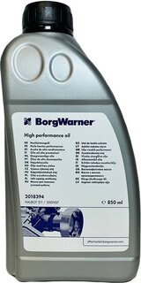 BorgWarner DS2018394
