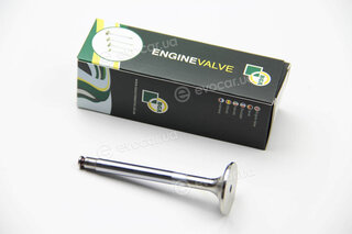 BGA V026032