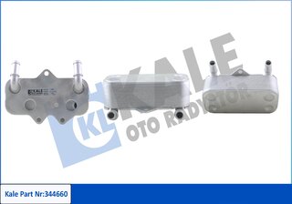 Kale 344660