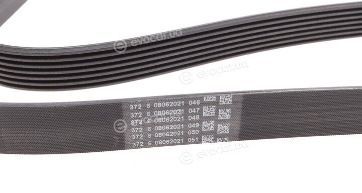Continental 7PK1749