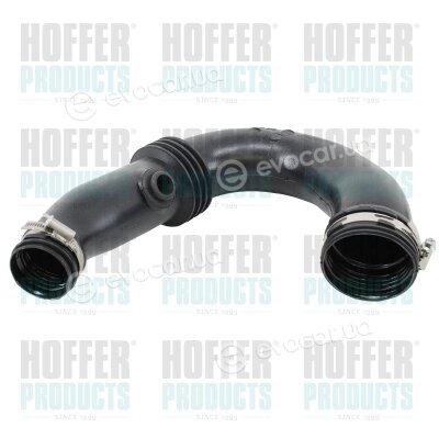 Hoffer 96316