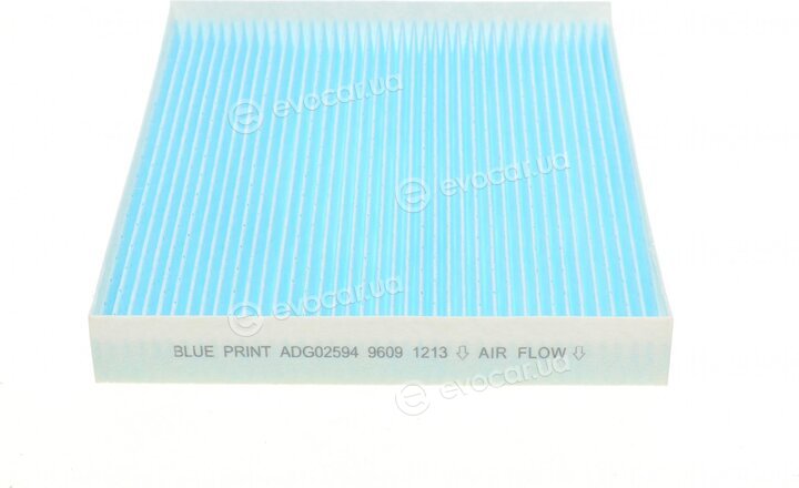 Blue Print ADG02594