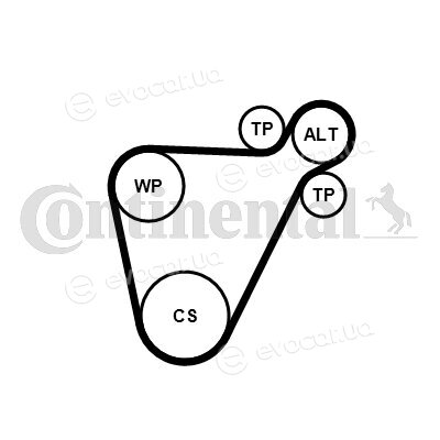 Continental 8PK954 EXTRA K1