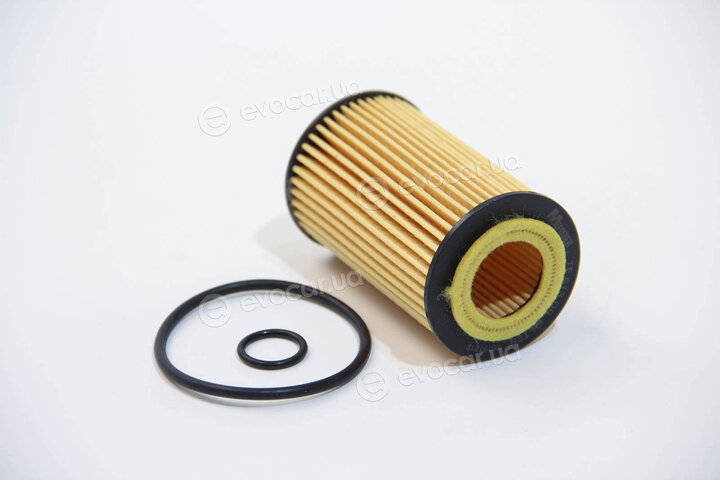 MFilter TE 613