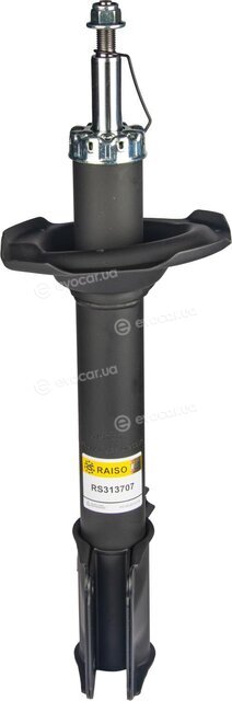 Raiso RS313707