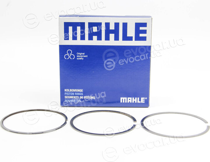 Mahle 030 31 N0