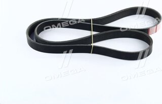 Dongil 6PK1281