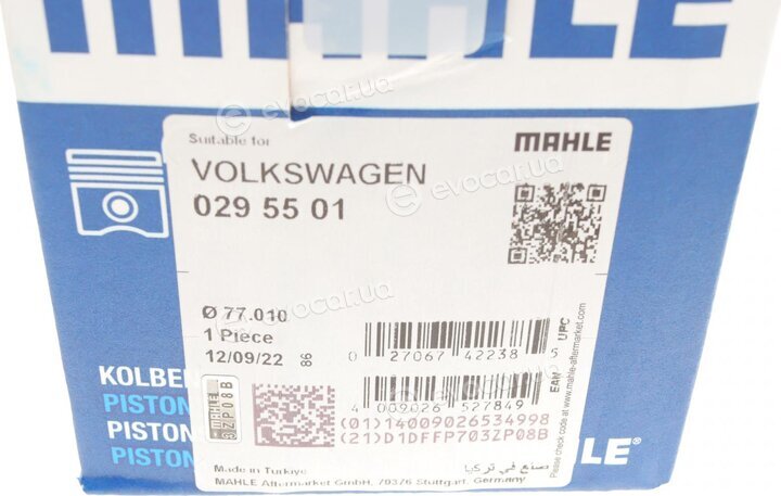 Mahle 029 55 01