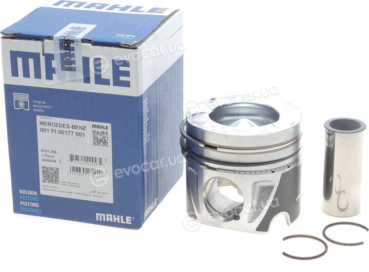 Mahle 001 PI 00177 001