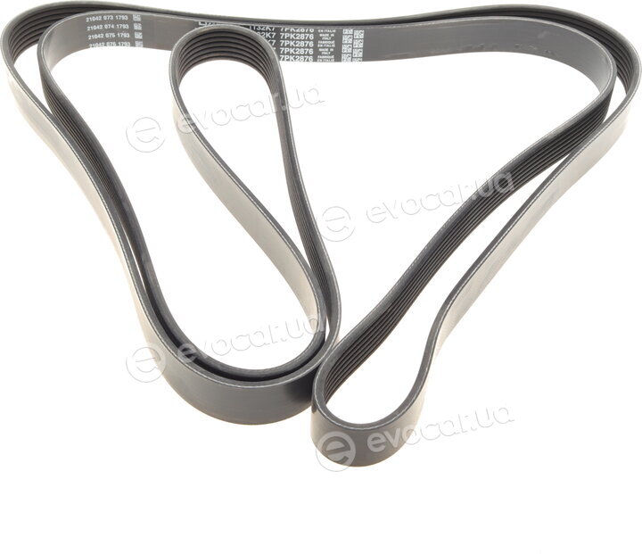 Dayco 7PK2876