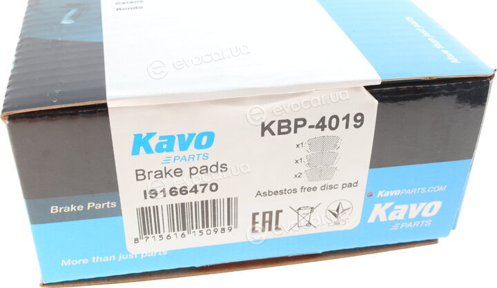 Kavo KBP-4019