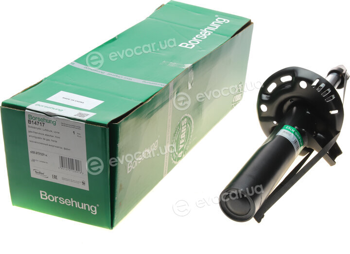 Borsehung B14717