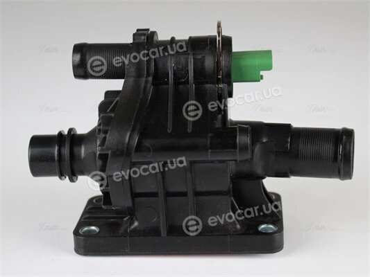 AVA CNTS005
