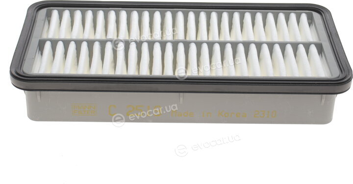 Mann C 2519