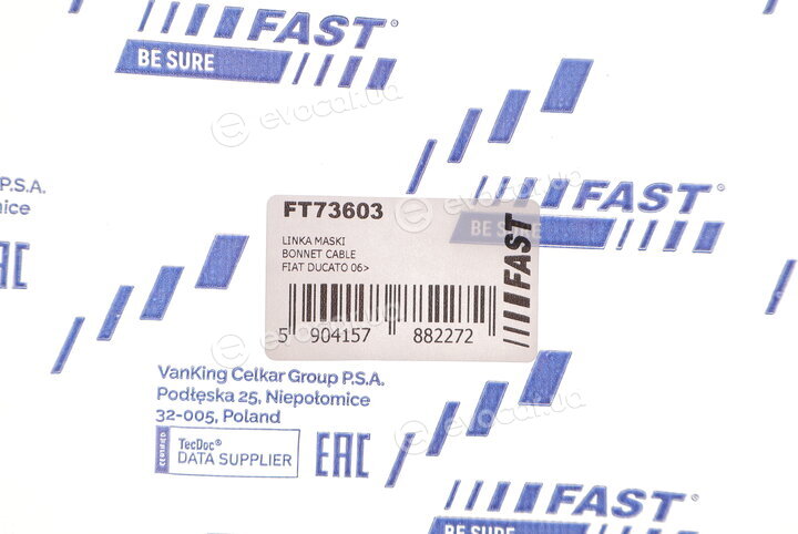 Fast FT73603