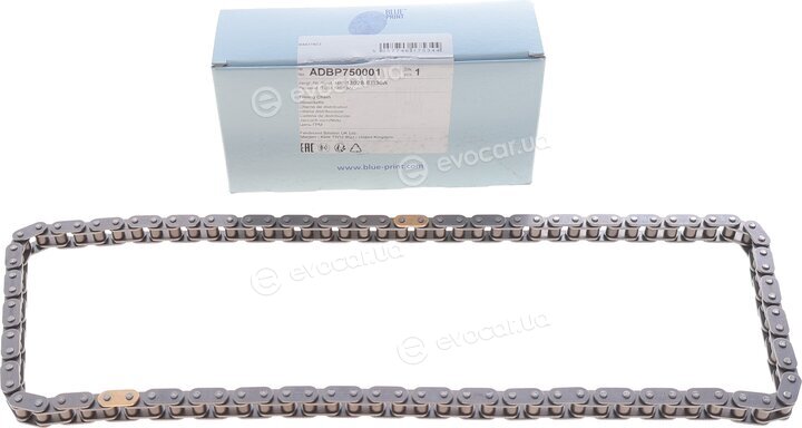 Blue Print ADBP750001
