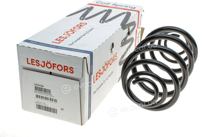Lesjofors 5263438