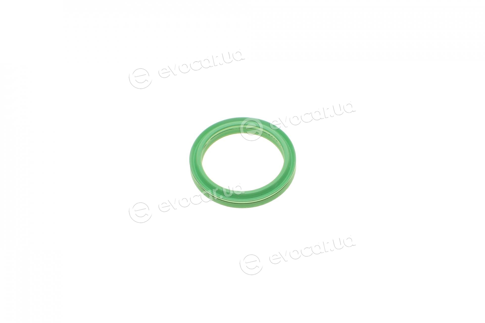 Rotweiss RWS2393
