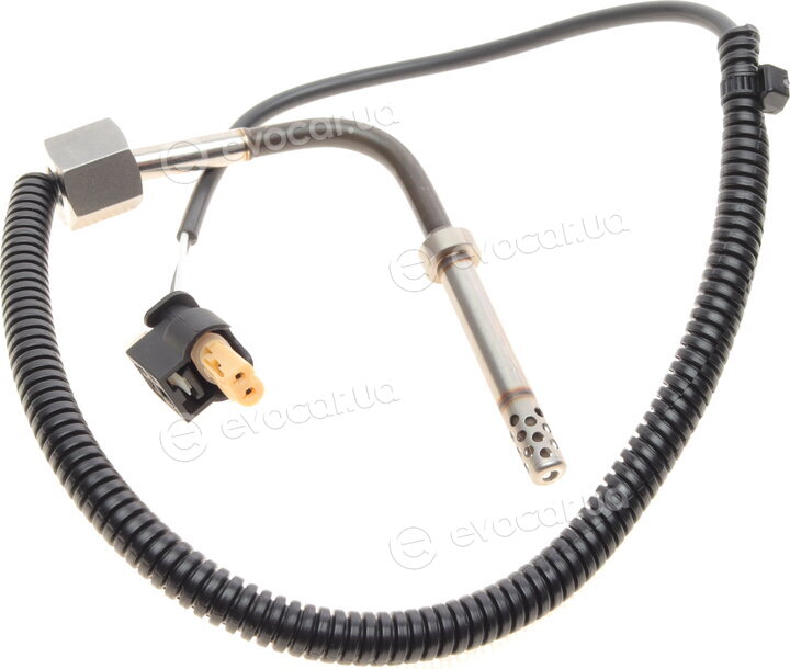 Solgy 115027