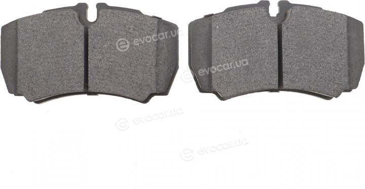 Solgy 209198