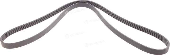 Continental 6PK1815