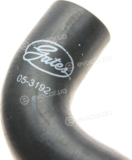 Gates 05-3192