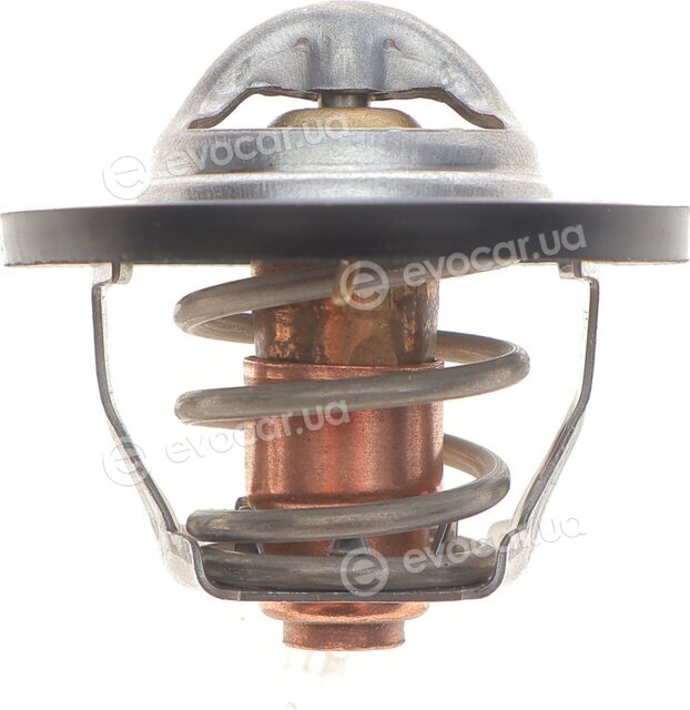 Motorad 565-82K