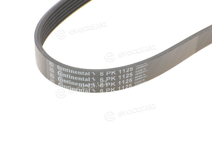 Continental 6PK1125