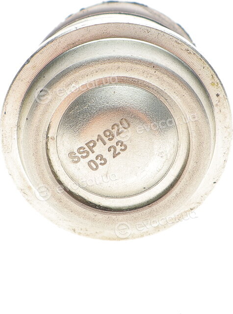Magneti Marelli 301191619200