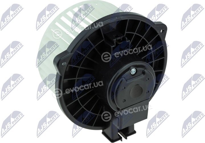 NTY EWN-MS-005