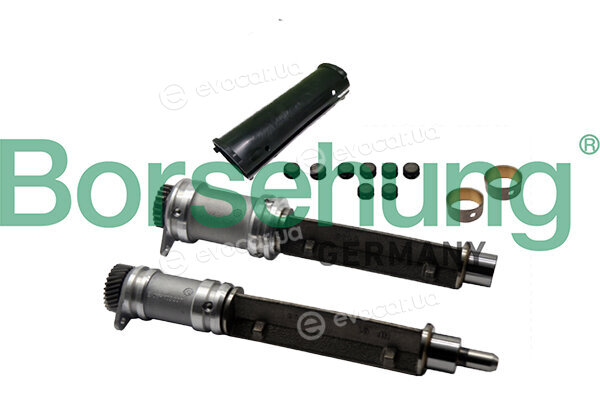Borsehung B12709