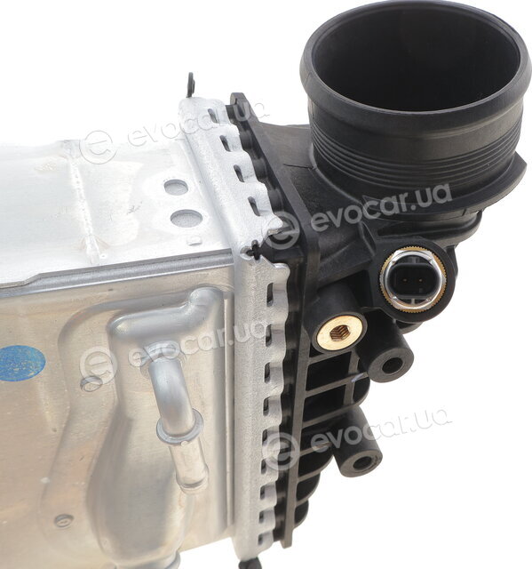 Mahle CI 663 000P
