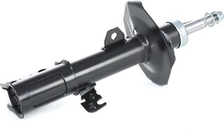 Ridex 854S0698