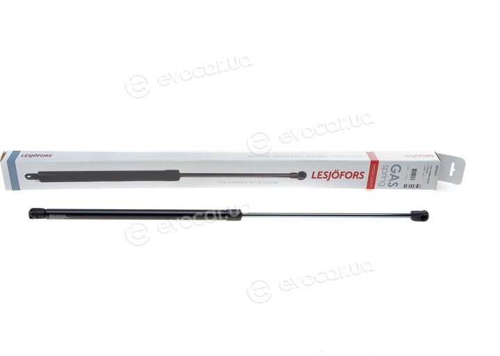 Lesjofors 8092507