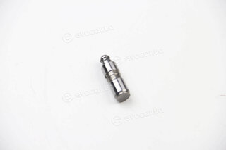 Asam 30946