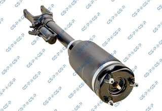 GSP 30900440