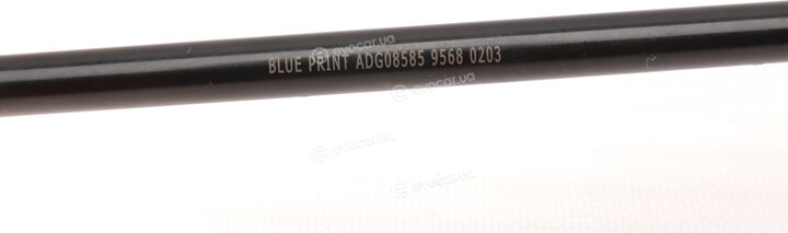 Blue Print ADG08585