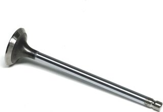 Gunes 5521