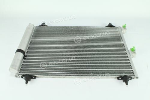 Kale 242900