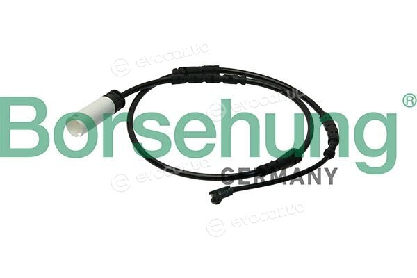 Borsehung B13167