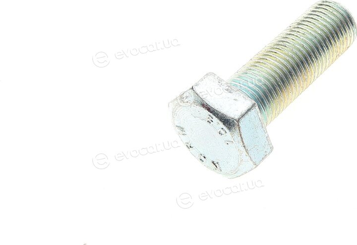 Solgy 203140