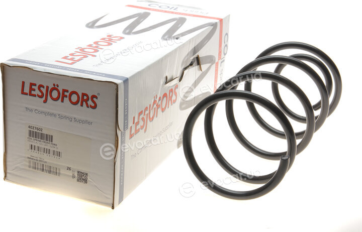 Lesjofors 4027602