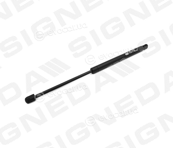 Signeda GS19163