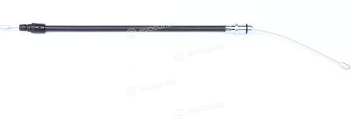 Linex 09.01.81