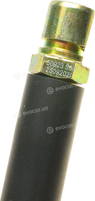 AIC 50923