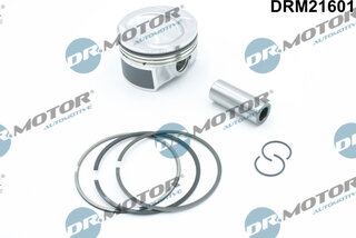 Dr. Motor DRM21601