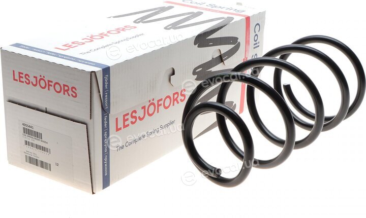 Lesjofors 4055441